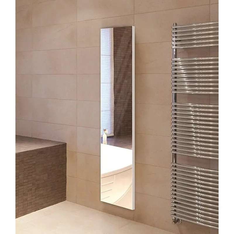 New Arrival Sidler Tall 19" x 60" x 6" Full Length Left Hinged Mirror Door Anodized Aluminum Medicine Cabinet