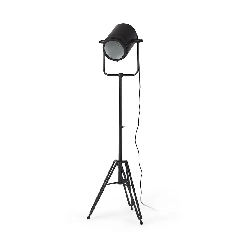 New Release Black LED Floor Lamp With Black Metal Shade By Homeroots