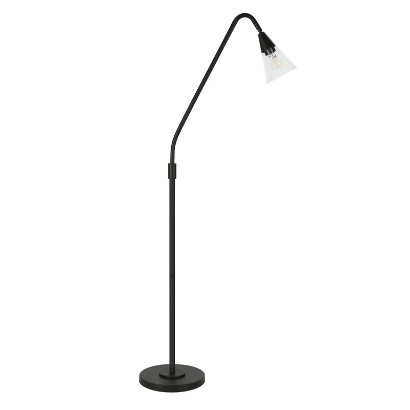 Black Reading Floor Lamp With Clear Transparent Glass Dome Shade By Ho Brand New