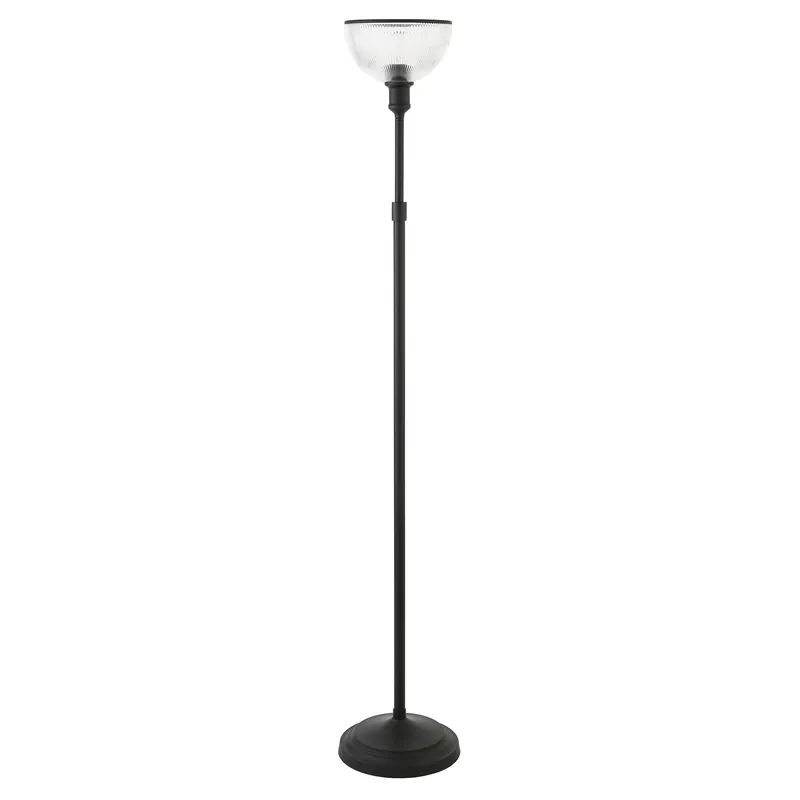 Discount Black Novelty Floor Lamp With Clear Transparent Glass Dome Shade By Ho