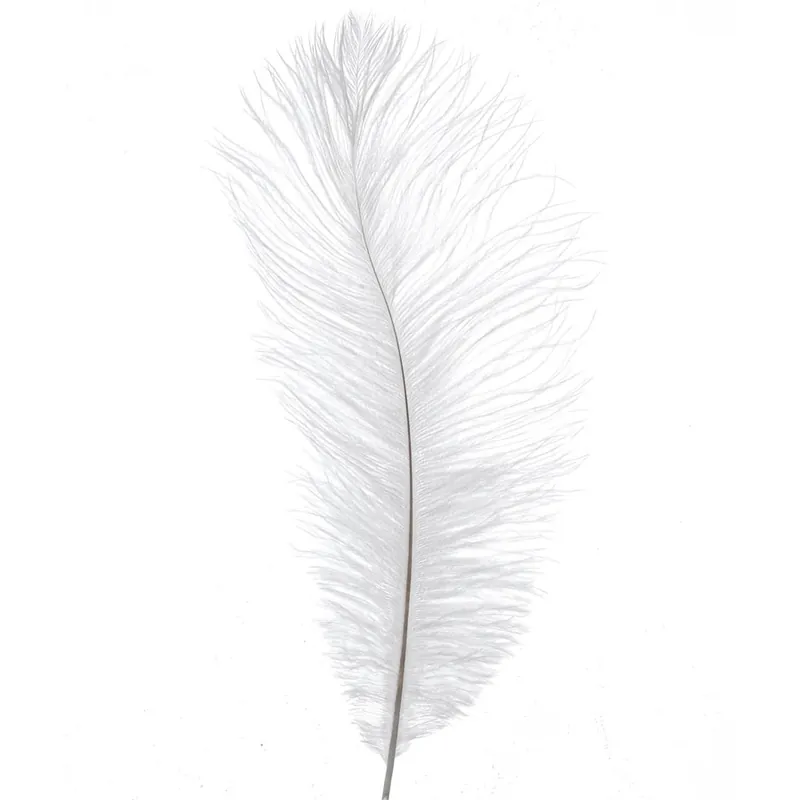 Hot Deal Decostar™ Ostrich Feather 13"-15" - Pack of 48 - White