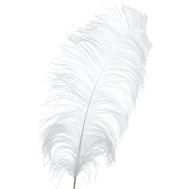 Decostar™ White Ostrich Feather - 22" to 24" - 12 Feathers! Today Only
