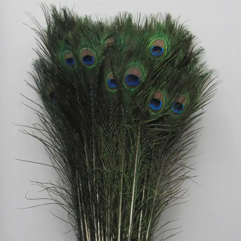 Decostar™ Peacock Feather 35"-39" - Pack of 100! Limited Time