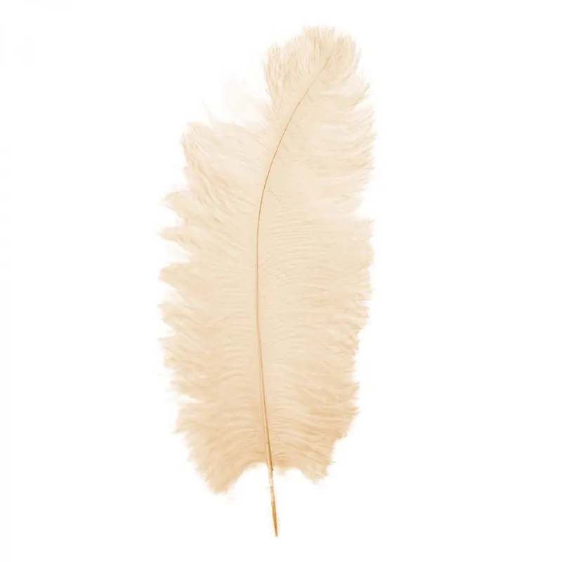 Top Pick Decostar™ Ostrich Feather 23" 10pc/bag - Ivory