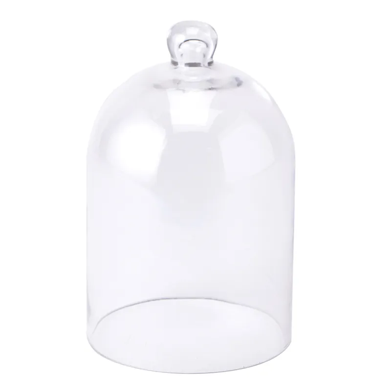 Decostar™ Glass Dome Cover In Demand