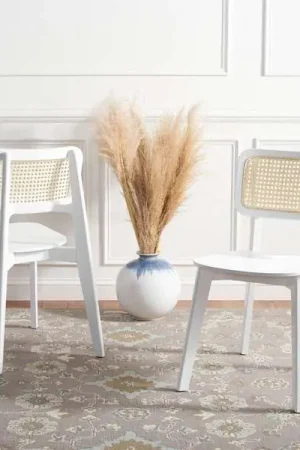 Trending Safavieh Luz Cane Dining Chair Set Of 2 - White