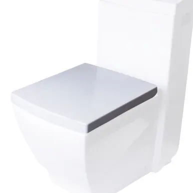 Authentic EAGO R-336SEAT Replacement Soft Closing Toilet Seat for TB336
